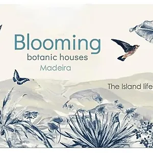 Hébergement de vacances Blooming Botanic, Estreito Da Calheta